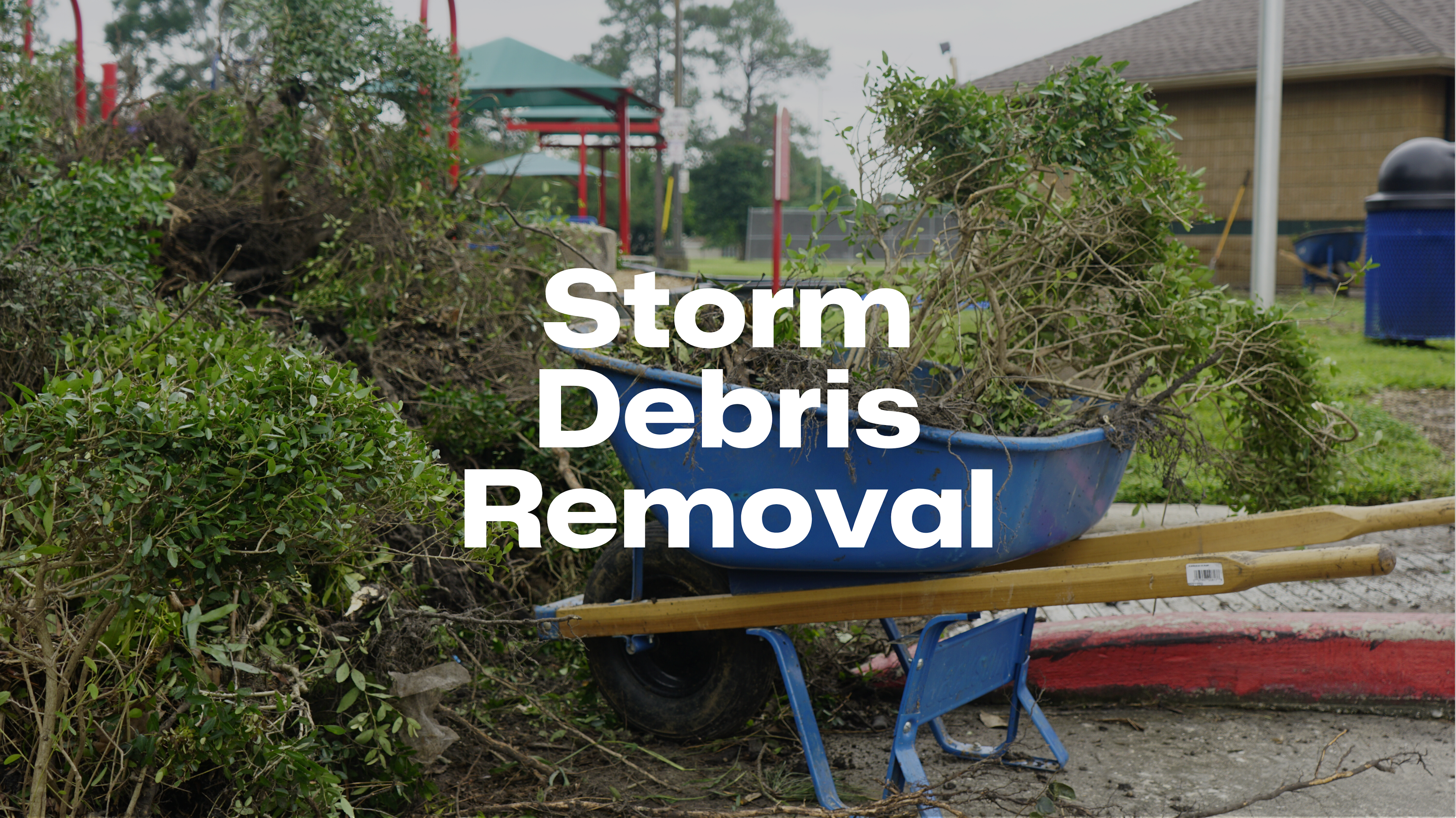 Storm Debris Removal.png